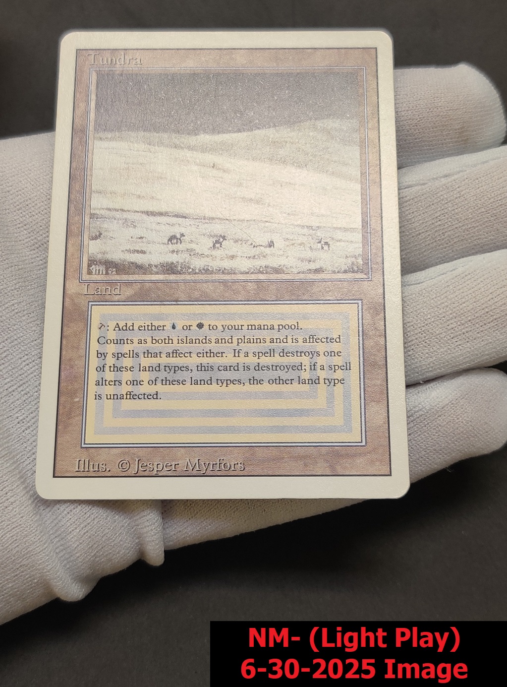 Tundra